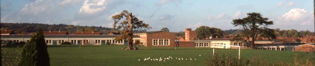Alyward School 1975 - from the playing field